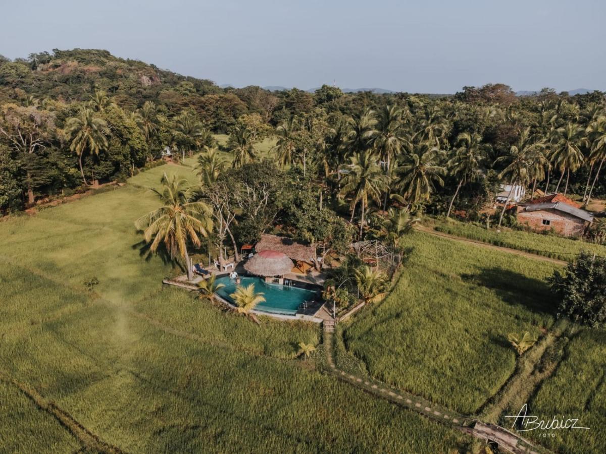 Nelu Resort Sigiriya Exterior foto